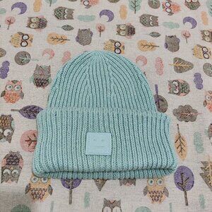 Acne Studios Mint Blue Ribbed Wool Blend Cuffed Beanie